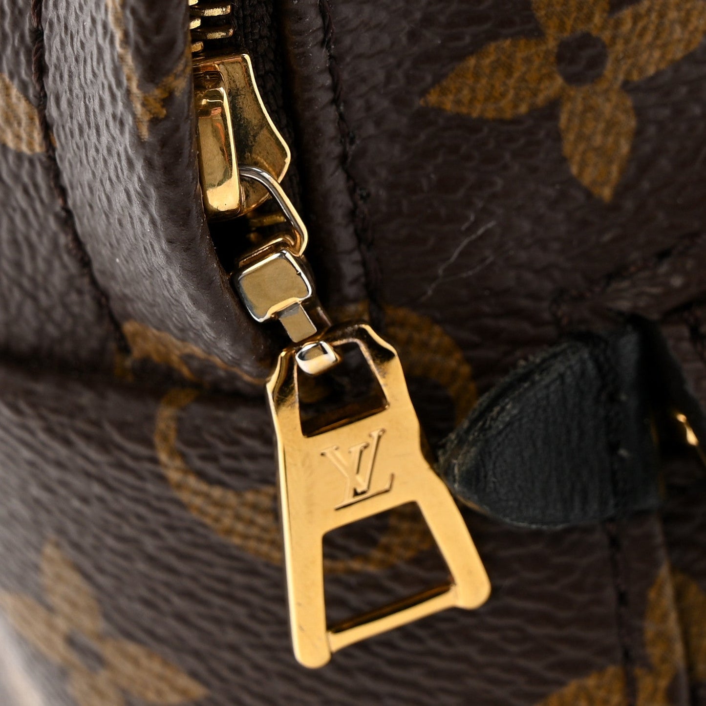 Monogram Palm Springs Backpack Mini