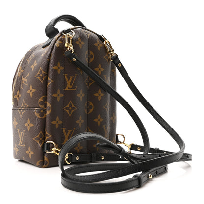 Monogram Palm Springs Backpack Mini