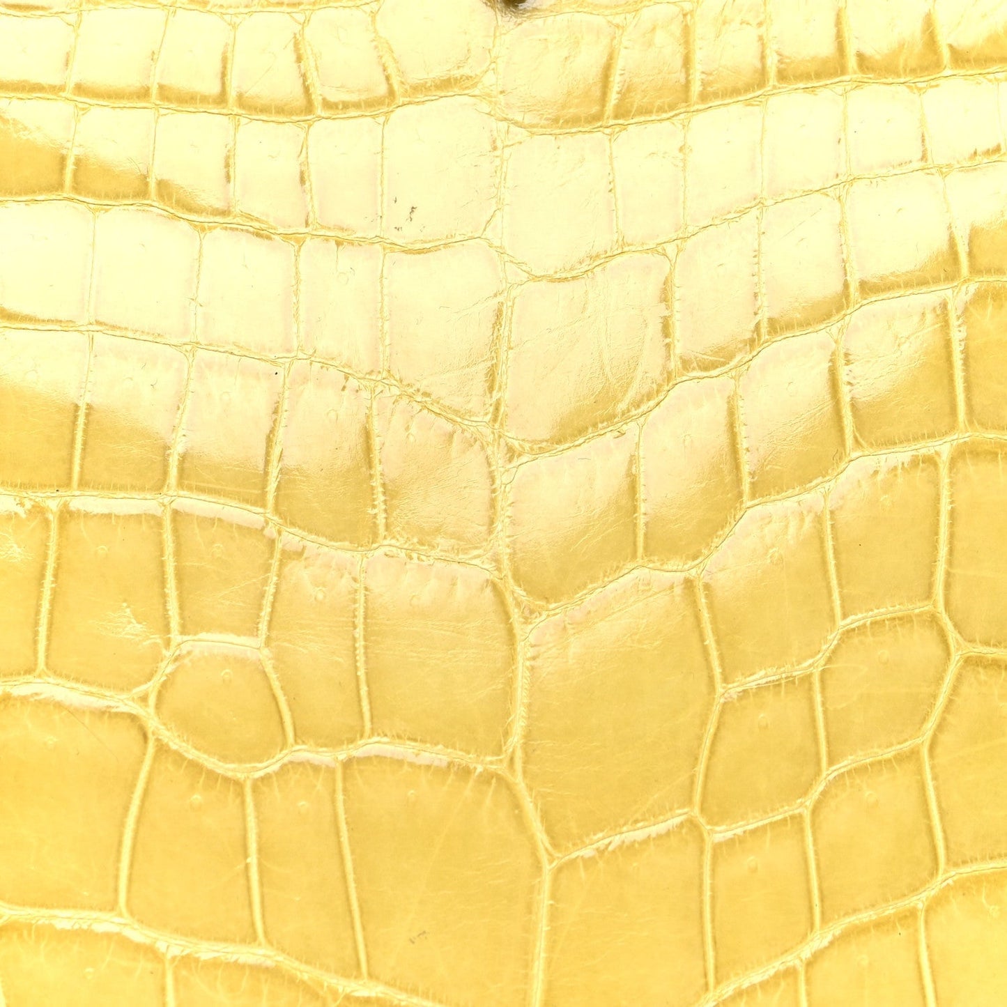 Crocodile Small Rockstud Tote Jonquill