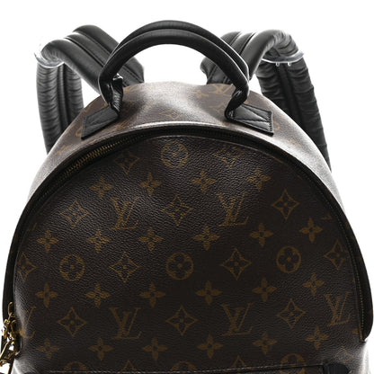 Monogram Palm Springs Backpack MM