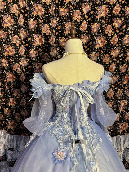 A Line Long Sleeves Ball Gown Quinceanera Dress Unique Long Evening Dress    cg25537