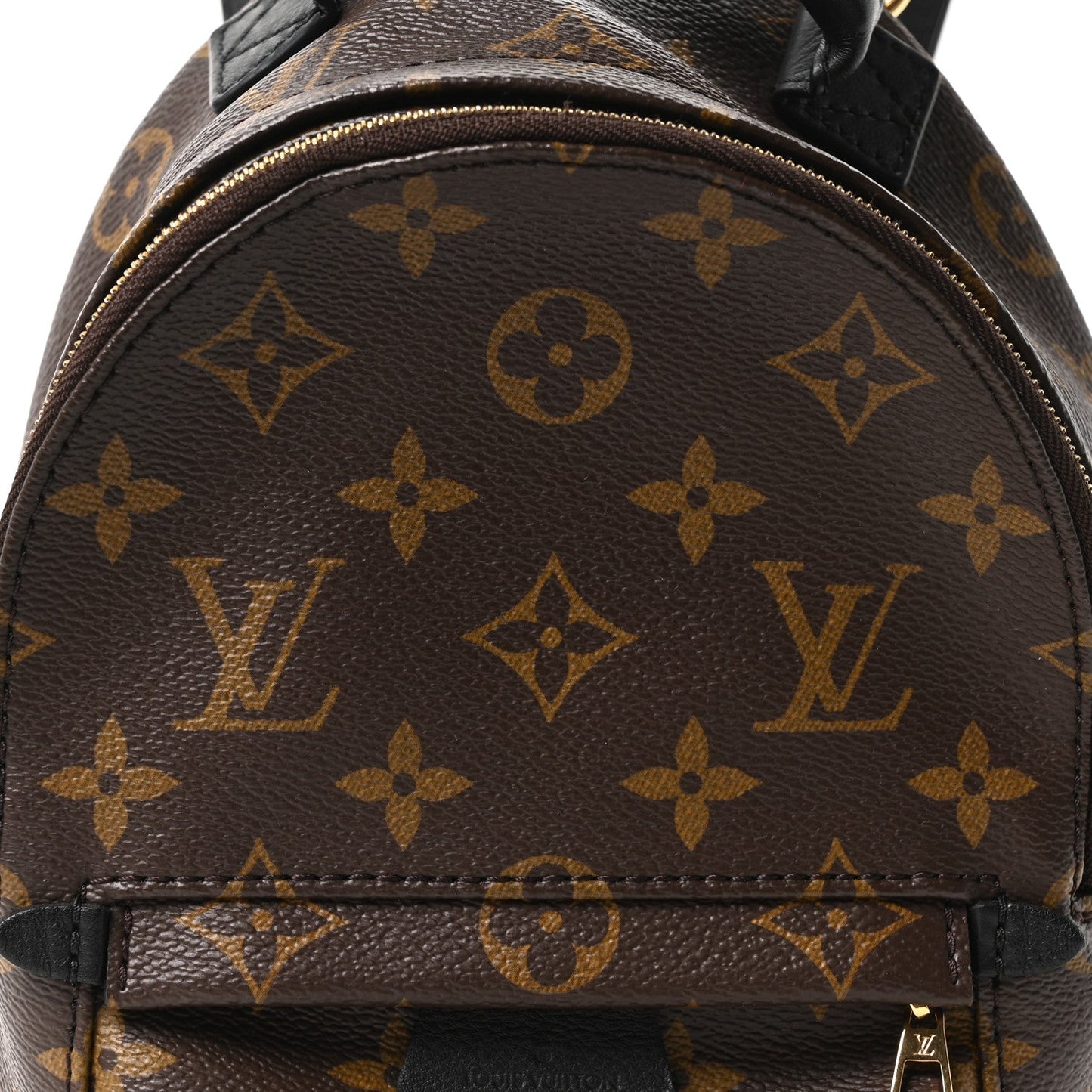 Monogram Palm Springs Backpack Mini