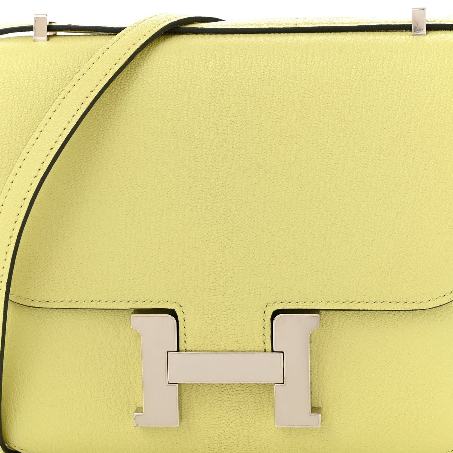 Chevre Mysore Constance 18 Jaune Bourgeon