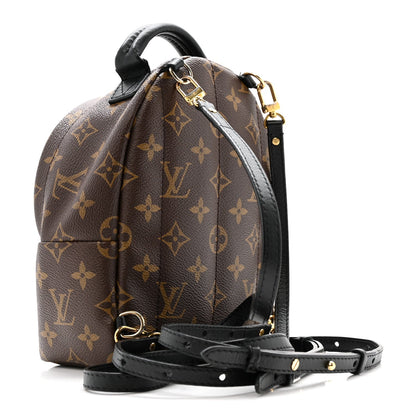 Monogram Palm Springs Backpack Mini