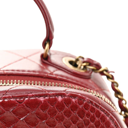 Snakeskin Calfskin Quilted Small Coco Curve Vanity Burgundy
