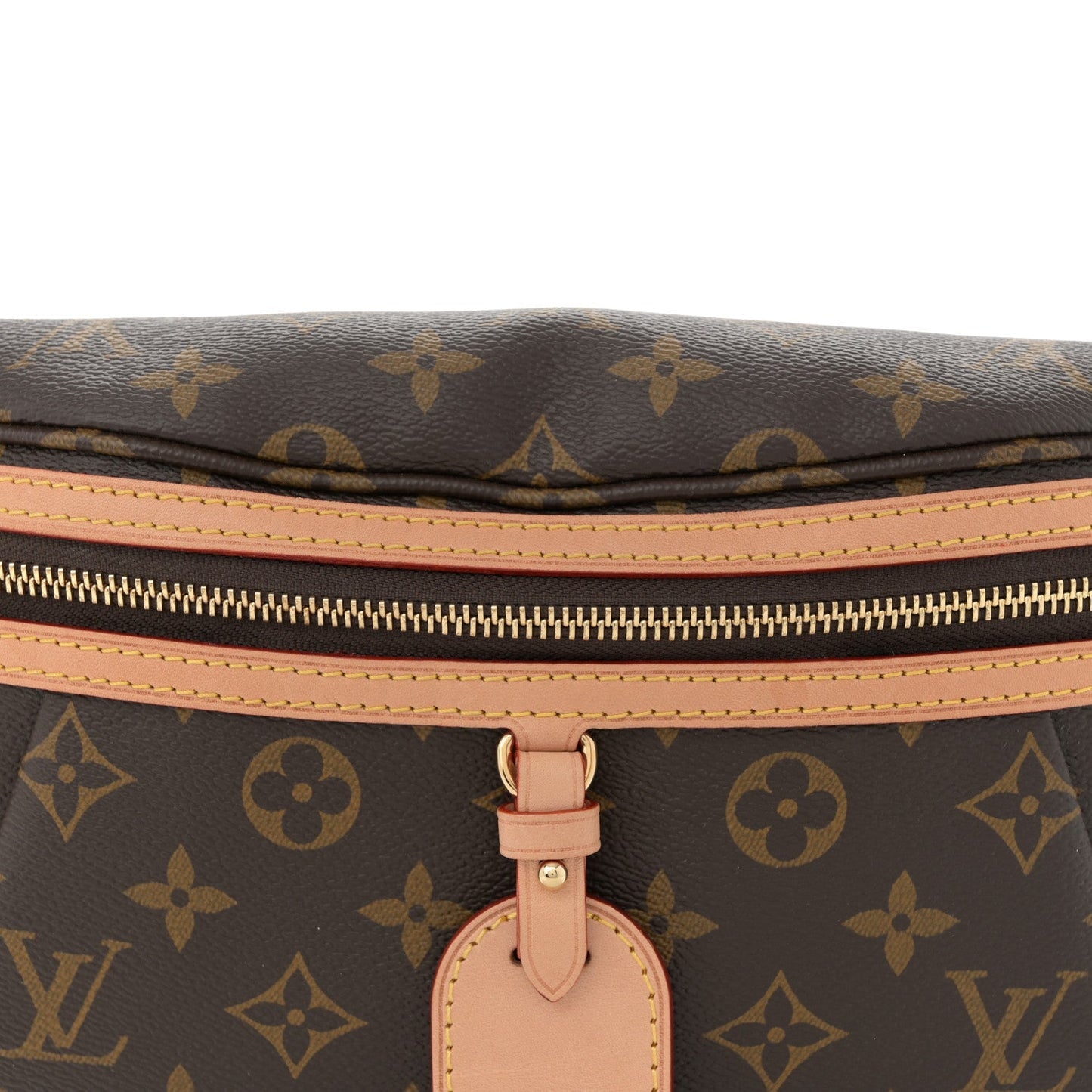Monogram High Rise Bumbag