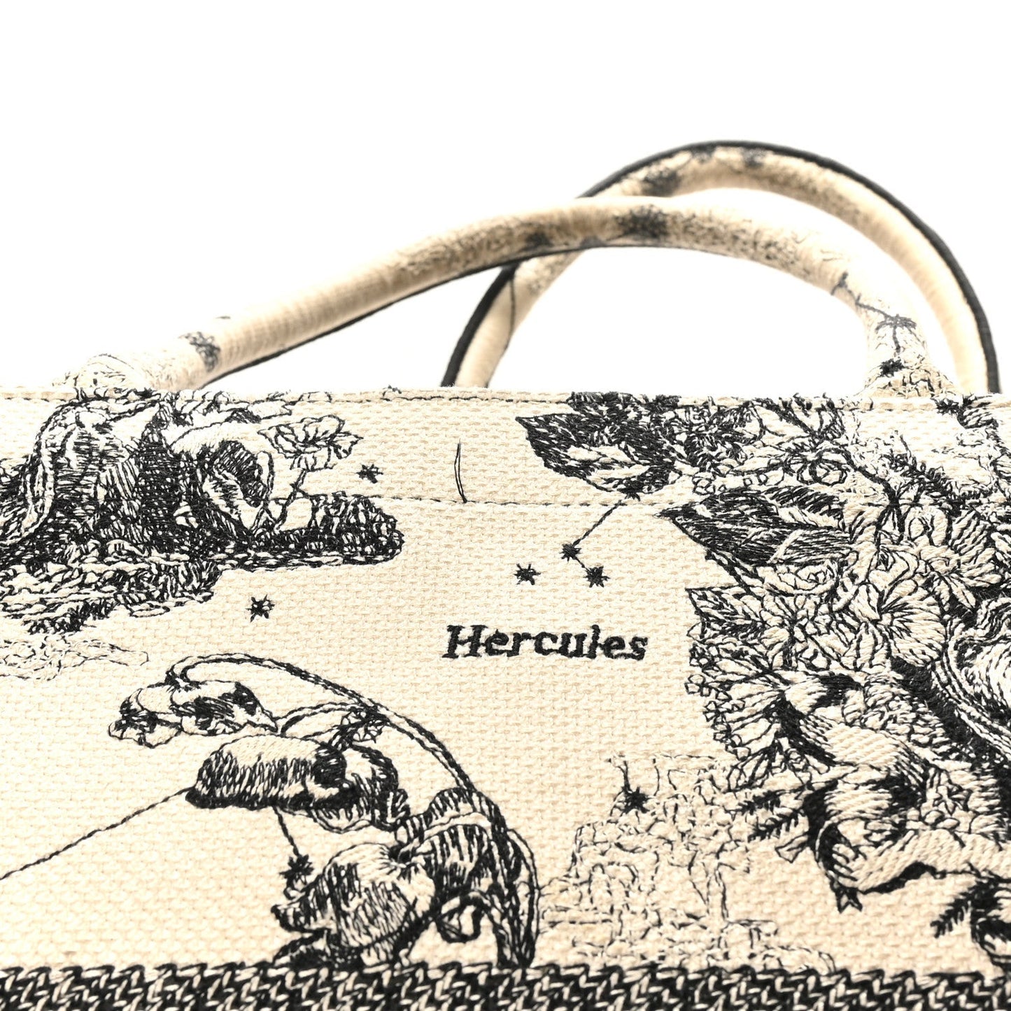 Canvas Embroidered Large Zodiac Toile De Jouy Book Tote Latte
