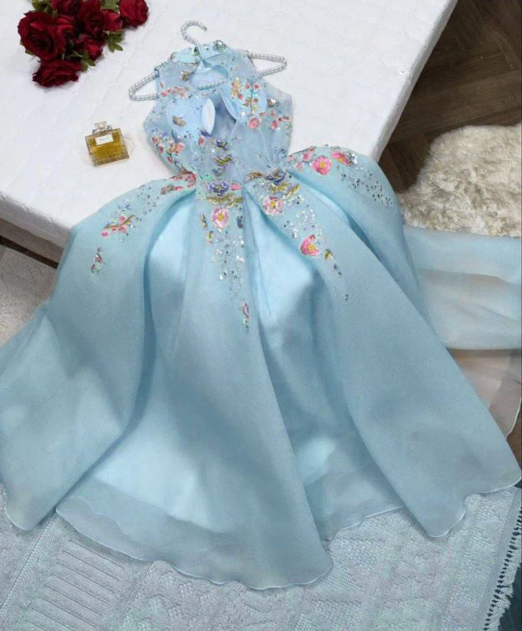 A line High Neckline Light Blue Tulle Lace Prom Dresses Evening Dress cg26212