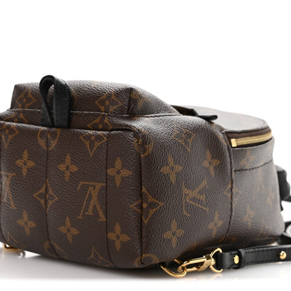 Monogram Palm Springs Backpack Mini