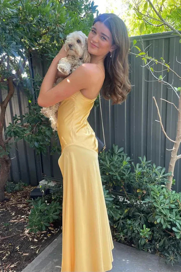 Popular Satin Spaghetti Straps Long Evening Prom Dresses        cg25062
