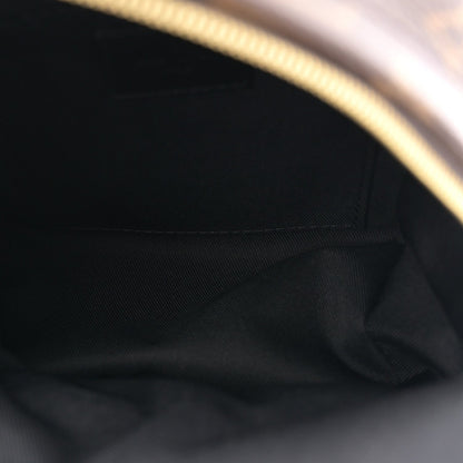 Monogram Palm Springs Backpack Mini