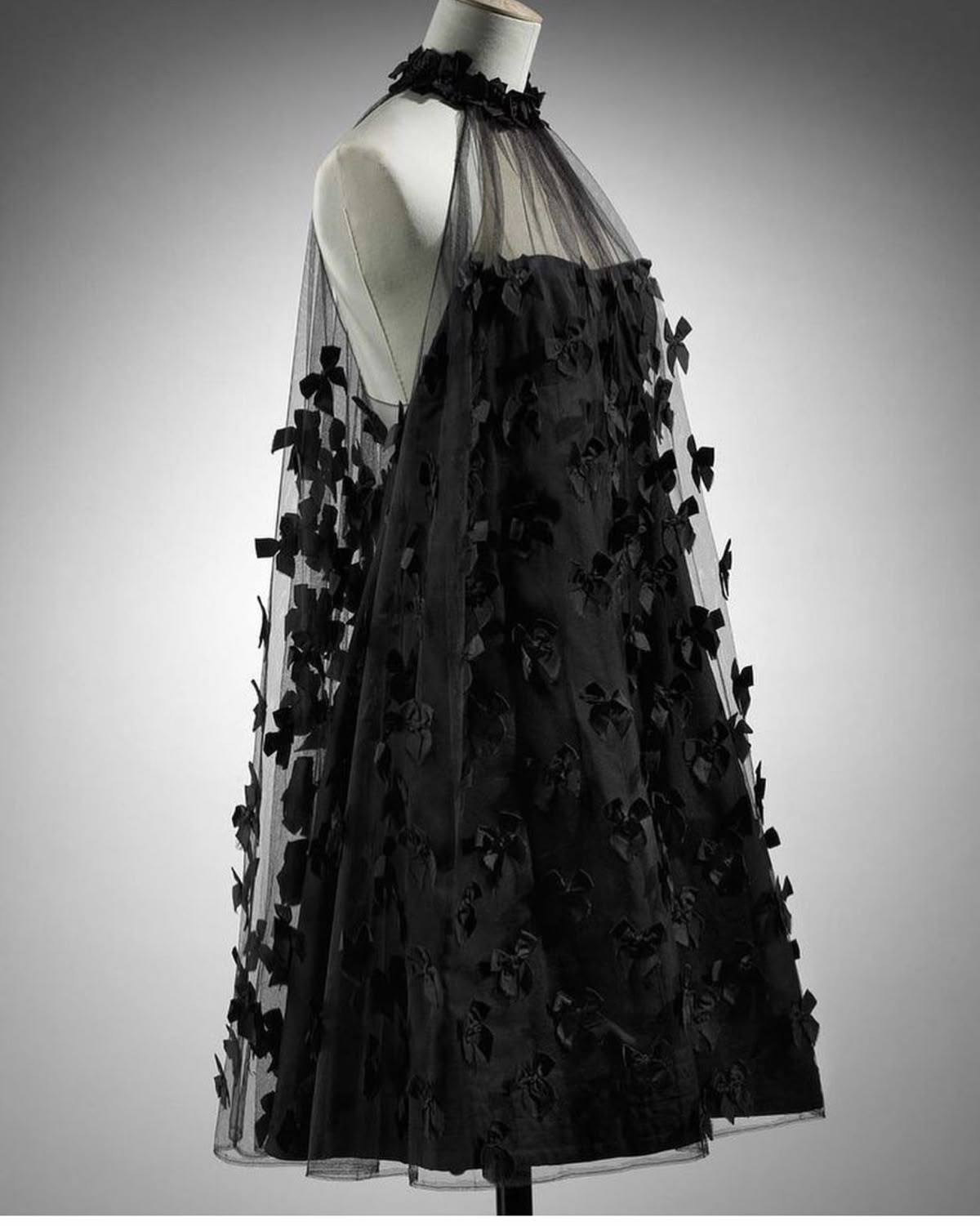 formaldressy--Black Exquisite Butterfly Short Tulle Beautiful Suspender Homecoming Dress gh5692