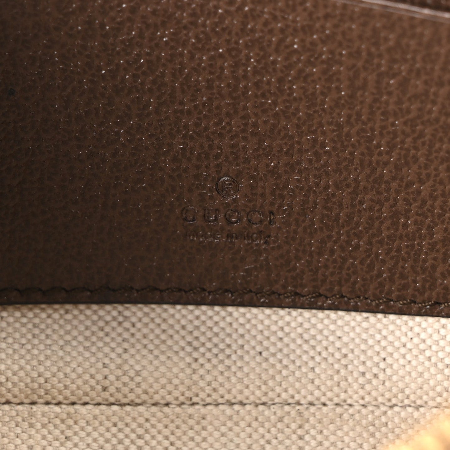 GG Supreme Monogram Textured Dollar Calfskin Web Mini Ophidia Convertible Shoulder Bag Beige Ebony New Acero