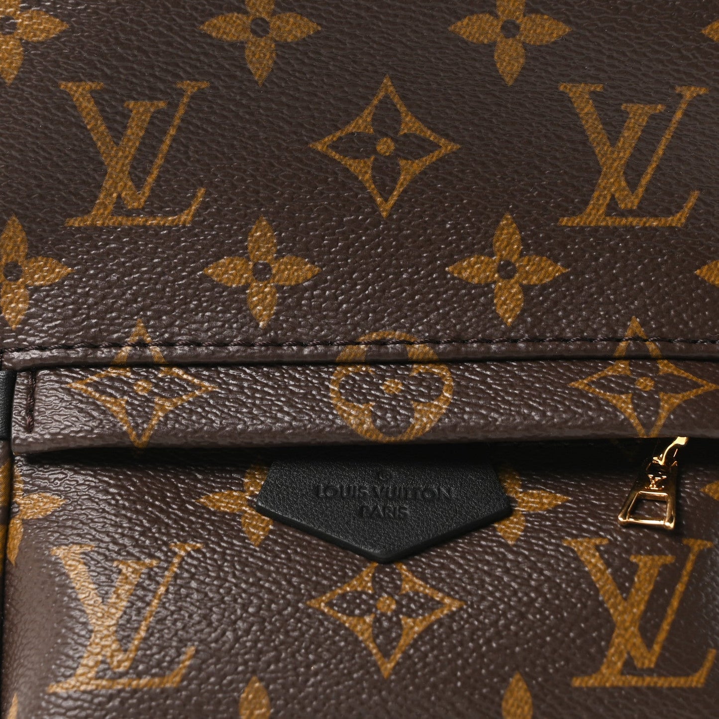 Monogram Palm Springs Backpack Mini
