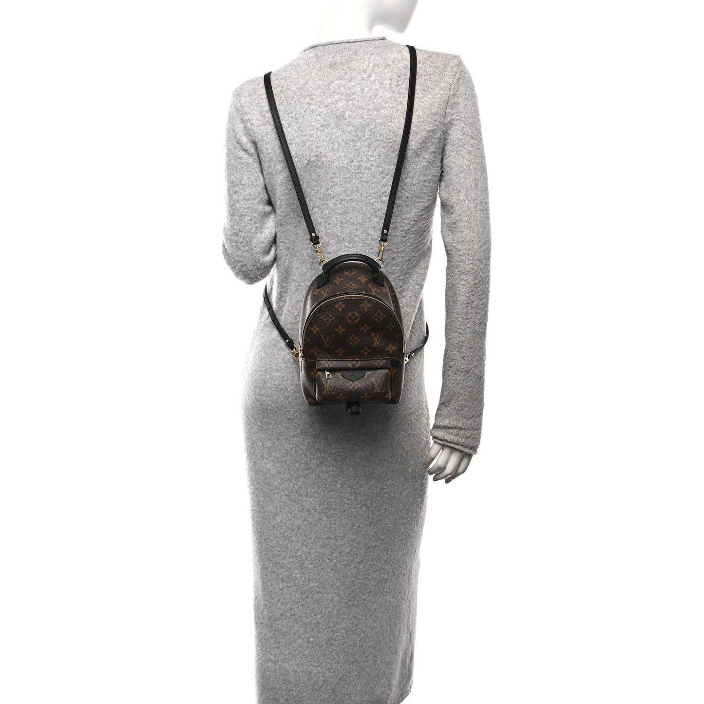 Monogram Palm Springs Backpack Mini