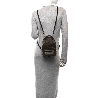 Monogram Palm Springs Backpack Mini