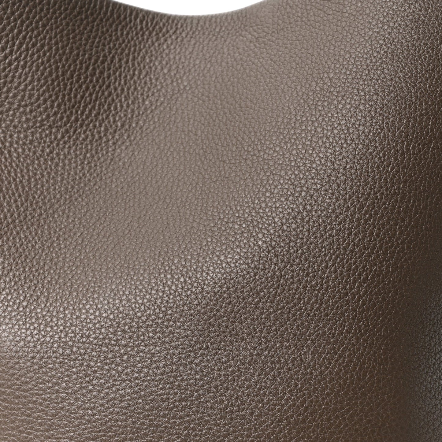 Grained Calfskin Large N/S Park Tote Elephant