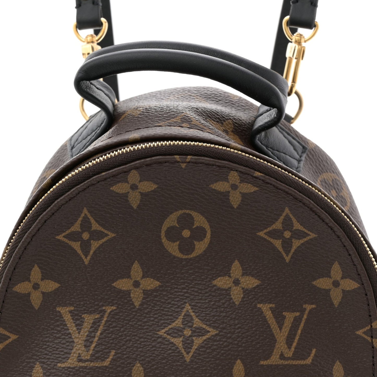 Monogram Palm Springs Backpack Mini