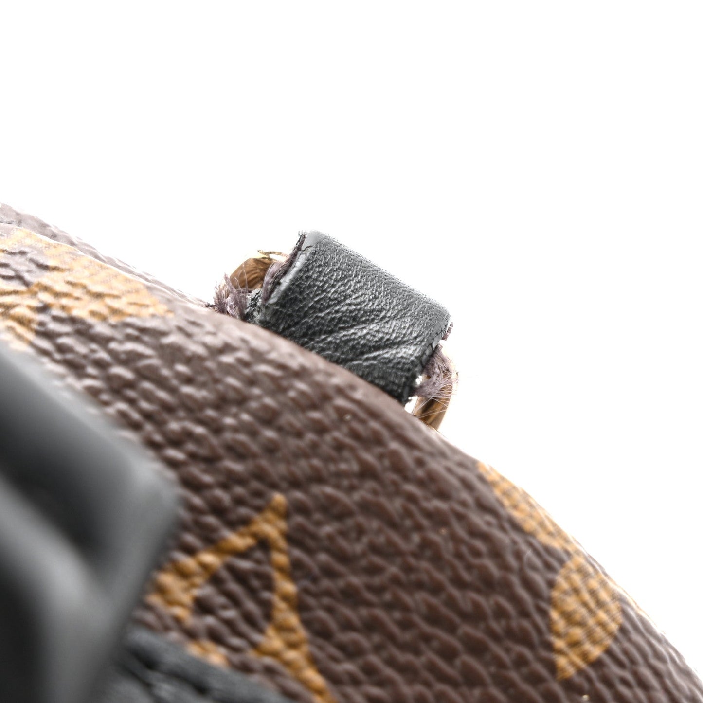 Monogram Palm Springs Backpack Mini