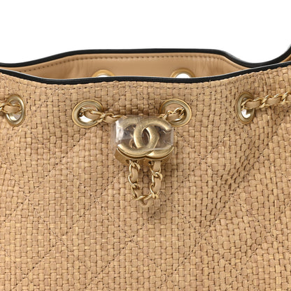 Braided Raffia Calfskin Quilted Mini Chanel 25 Handbag Beige Black