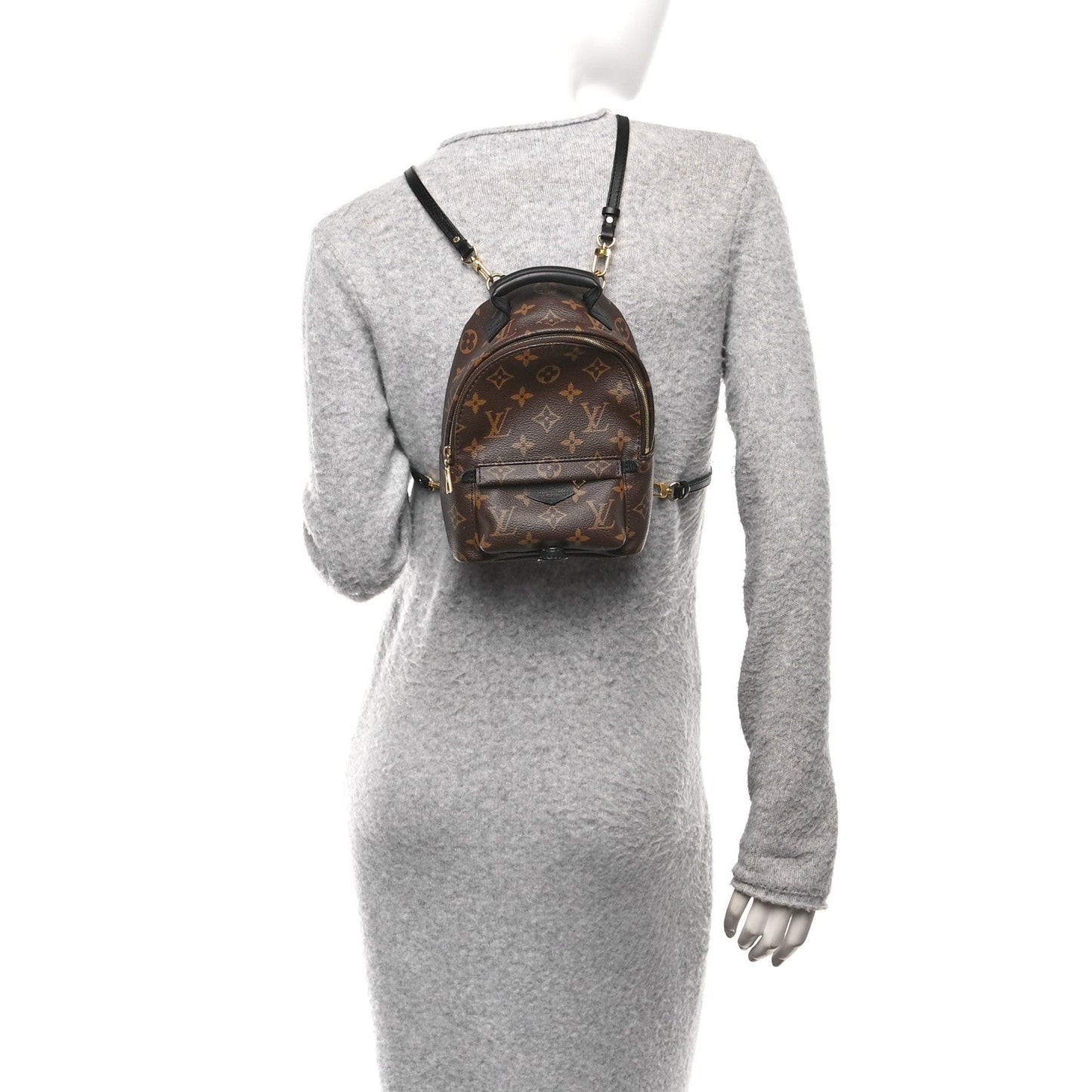 Monogram Palm Springs Backpack Mini