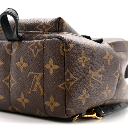 Monogram Palm Springs Backpack Mini