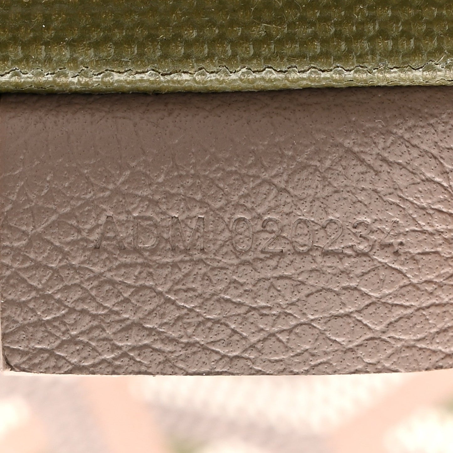Goyardine Poitiers Claire Voie Tote Grege Khaki