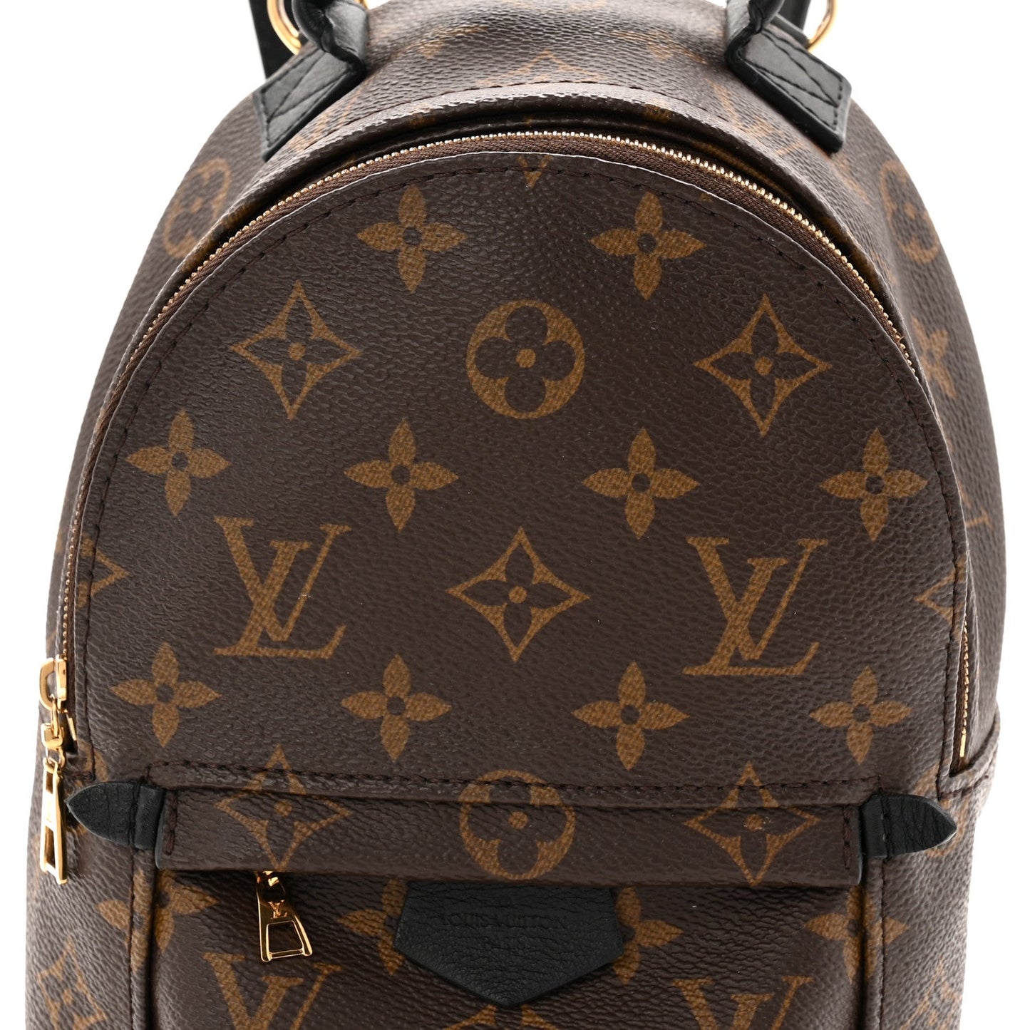 Monogram Palm Springs Backpack Mini