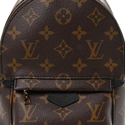 Monogram Palm Springs Backpack Mini