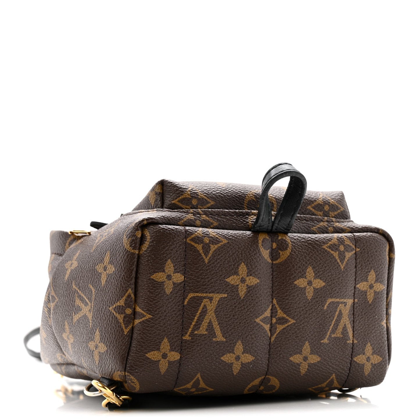 Monogram Palm Springs Backpack Mini