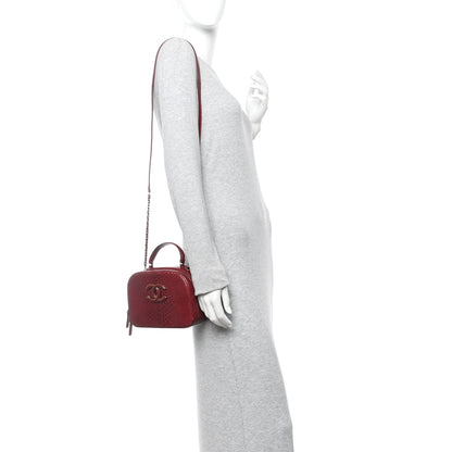 Snakeskin Calfskin Quilted Small Coco Curve Vanity Burgundy